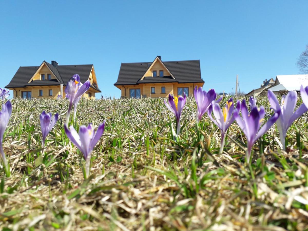 Witowianskie Domki Z Kominkiem, Jacuzzi I Sauna Dzianisz Exterior foto