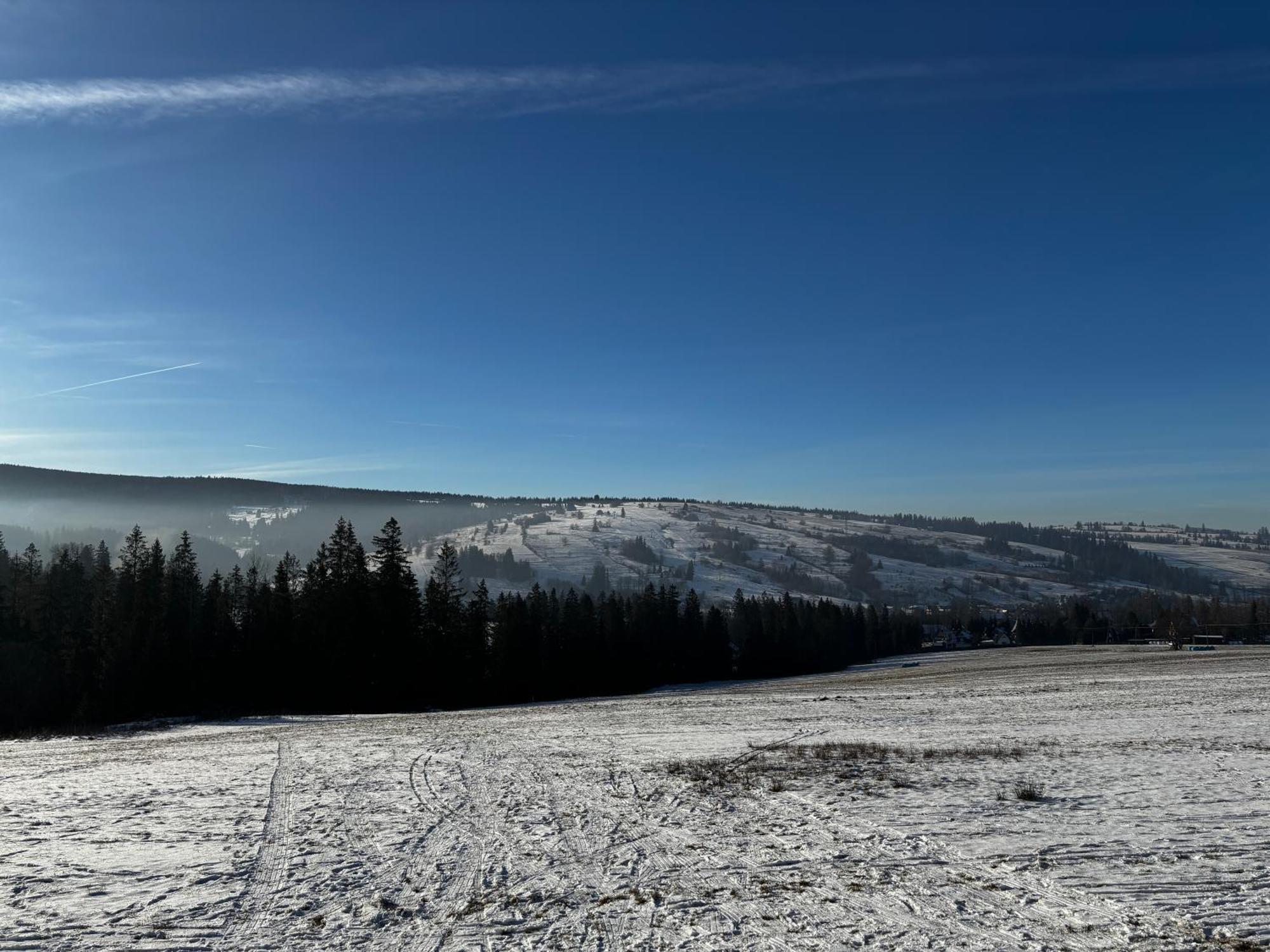 Witowianskie Domki Z Kominkiem, Jacuzzi I Sauna Dzianisz Exterior foto